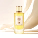 AJK EDP